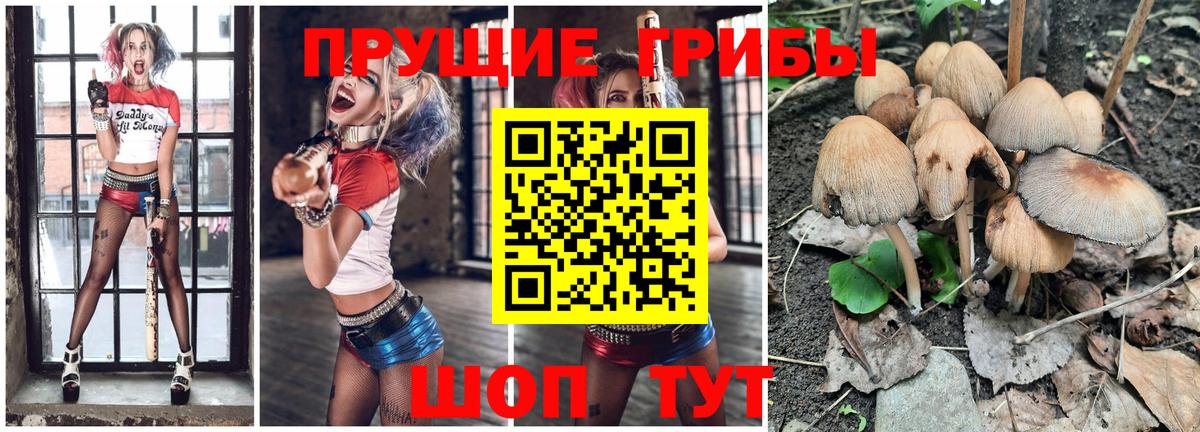 Псилоцибиновые грибы GOLDEN TEACHER Рыбинск